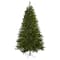 7.5ft. Pre-Lit Windermere Christmas Tree, Clear Lights